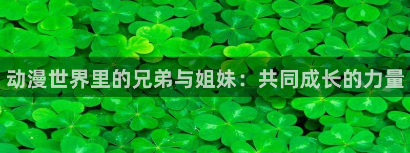 78动漫正版官网入口