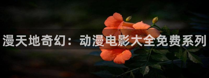 78动漫网站维护