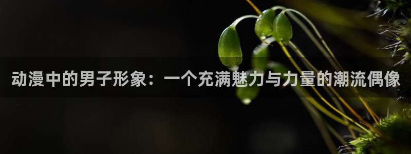 朝戈78动漫短剧