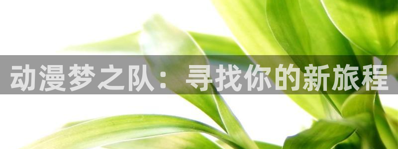 78动漫app改名叫什么了