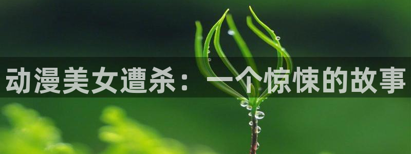 78动漫网页版登录入口